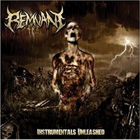 Instrumentals Unleashed